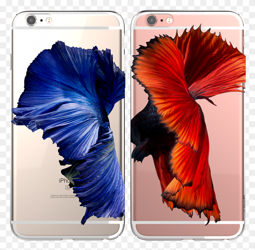 784x769 Betta Iphone 6 Plus6s Plus Iphone 6s Plus Betta, Phone, Electronics, Mobile Phone HD PNG Download