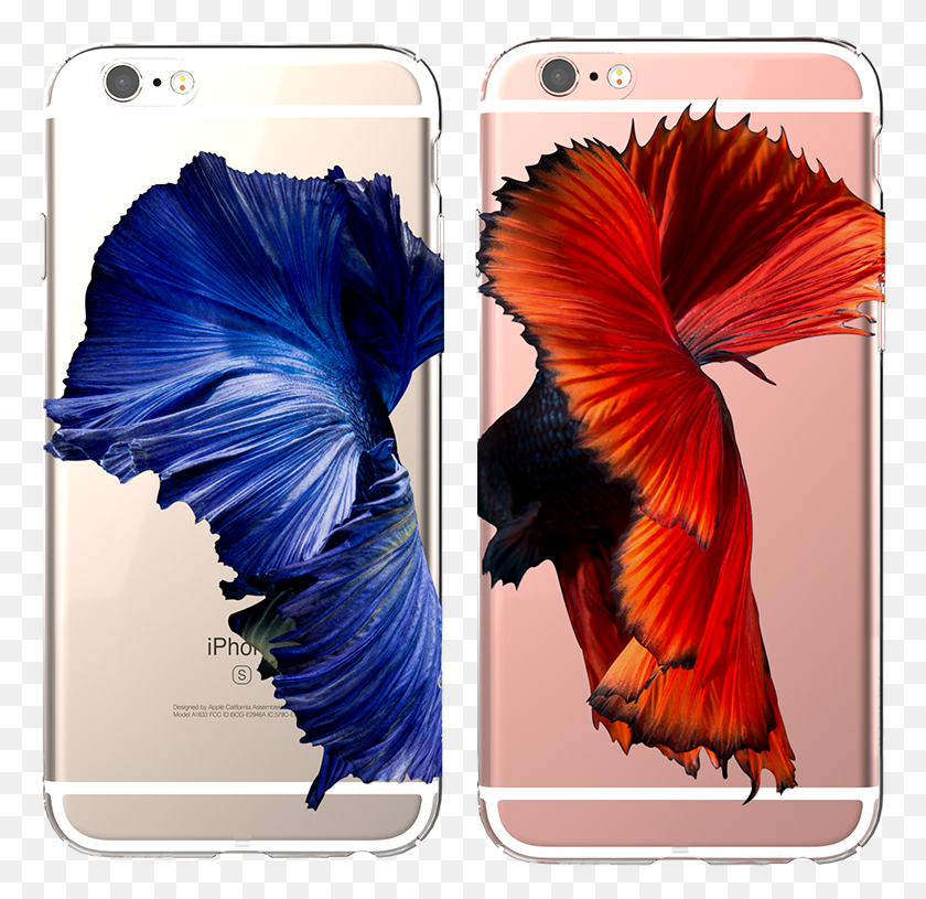 769x755 Betta Iphone 66s Iphone Betta, Phone, Electronics, Mobile Phone HD PNG Download