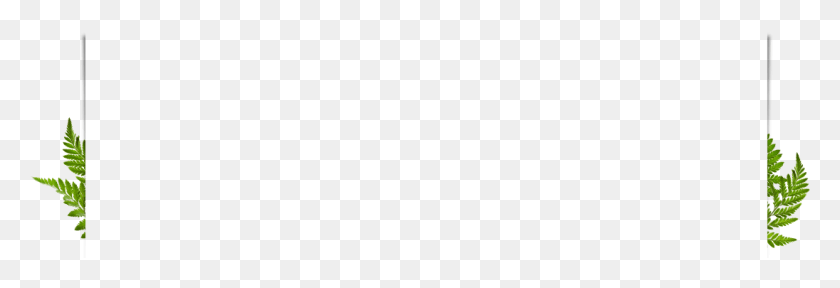 Bg, Gray, World Of Warcraft HD PNG Download