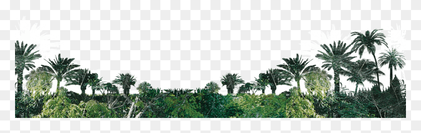 1440x380 Descargar Png / La Paz Y El Amor, Bush, Vegetación, Planta Hd Png