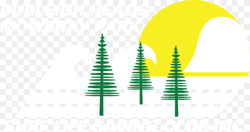 Bhmp Logo White Logo, Plant, Tree, Fir, Green Transparent PNG