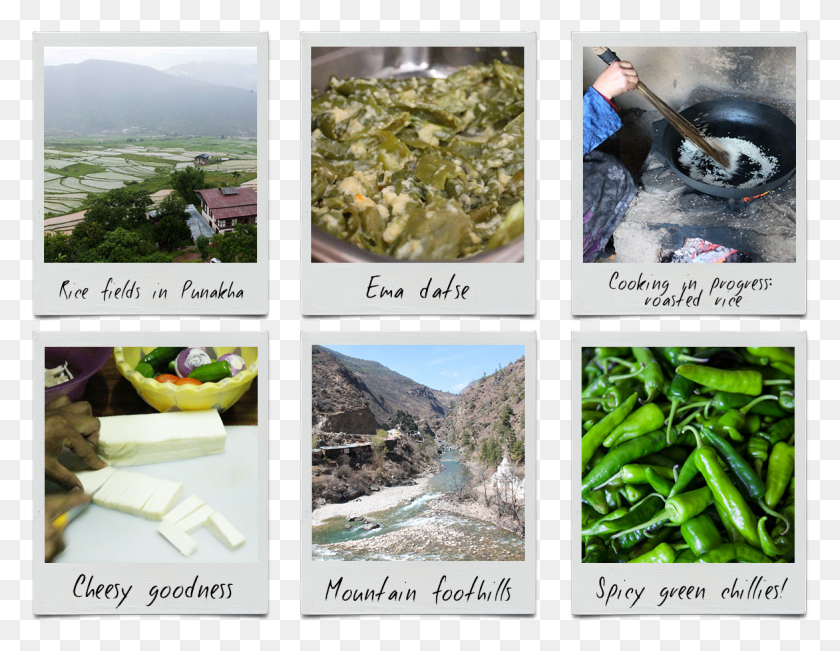 1168x886 Бутанский Жареный Овощной Чили Сырный Суп Дерево, Коллаж, Плакат, Реклама Hd Png Скачать