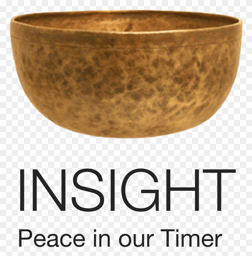 1610x1639 Bhz On The Insight Timer App Insight Timer App Logo, Bowl, Mixing Bowl, Soup Bowl HD PNG Download