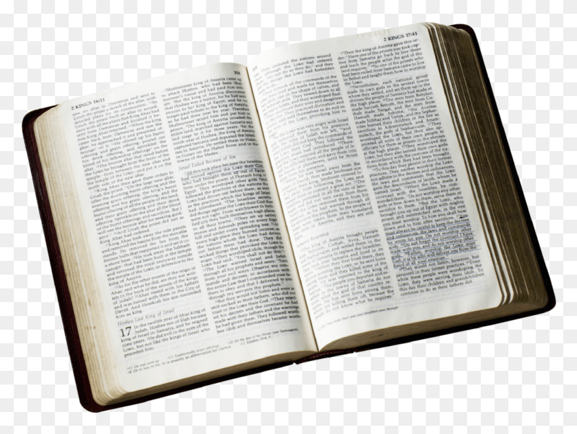 1024x752 Bib Biblia Sagrada Em, Book, Text HD PNG Download