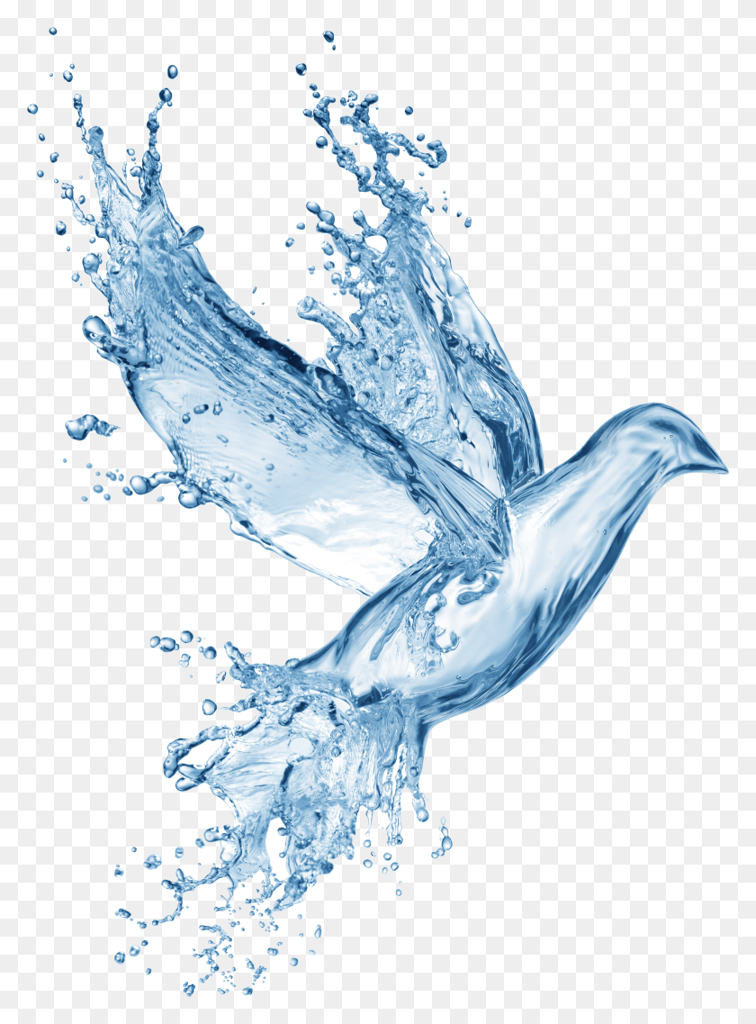 4036x5575 Bible God Water Effects Prayer Gospel Disciple Clipart Bird Made Of Water HD PNG Download