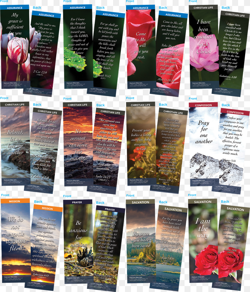 1200x1400 Bible Verse Bookmarks Variety Pack Of, Advertisement, Poster, Flower, Plant Transparent PNG