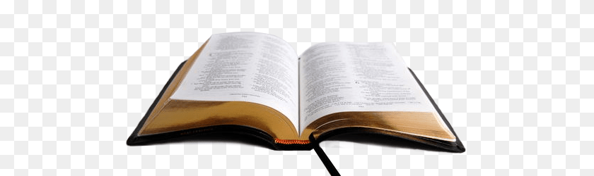 500x250 Biblia Image, Book, Page, Person, Publication Transparent PNG