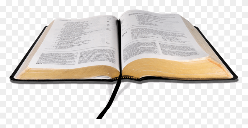 794x379 Biblia Sin Fondo Bible Transparent Background, Book, Text HD PNG Download