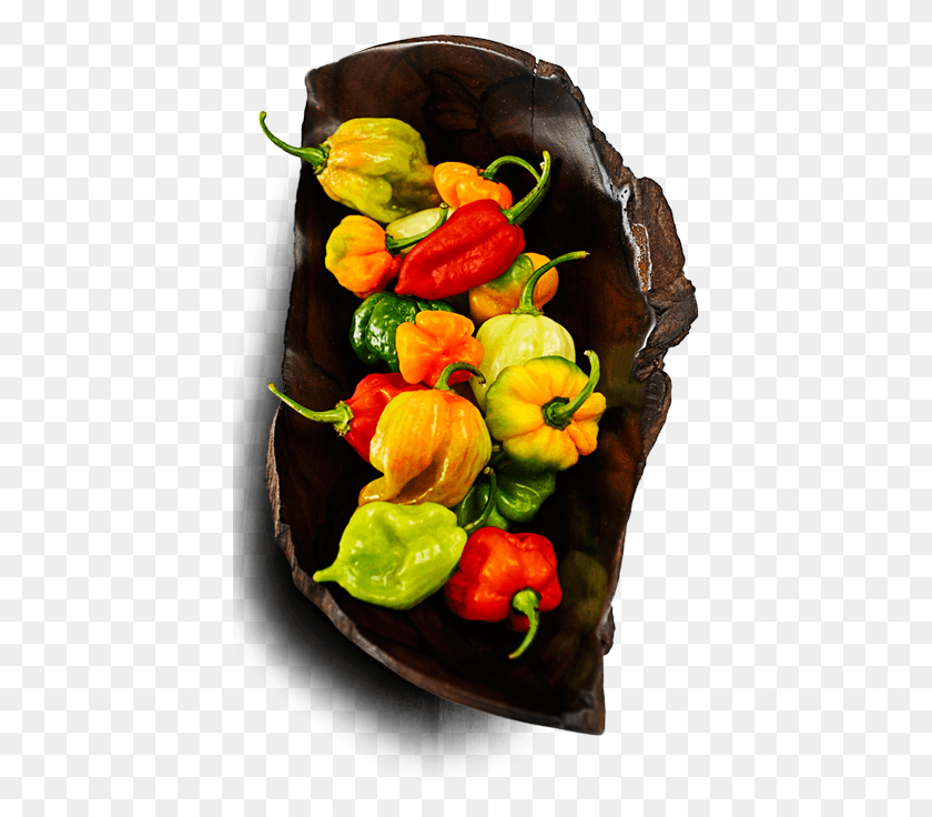 421x676 Bienvenido A Sams Fire Red Bell Pepper, Plant, Vegetable, Food HD PNG Download