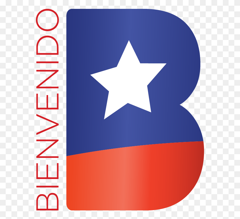 591x707 Логотип Bienvenido, Логотип Международной Ассоциации Темного Неба, Символ, Звездный Символ, Текст Png Скачать