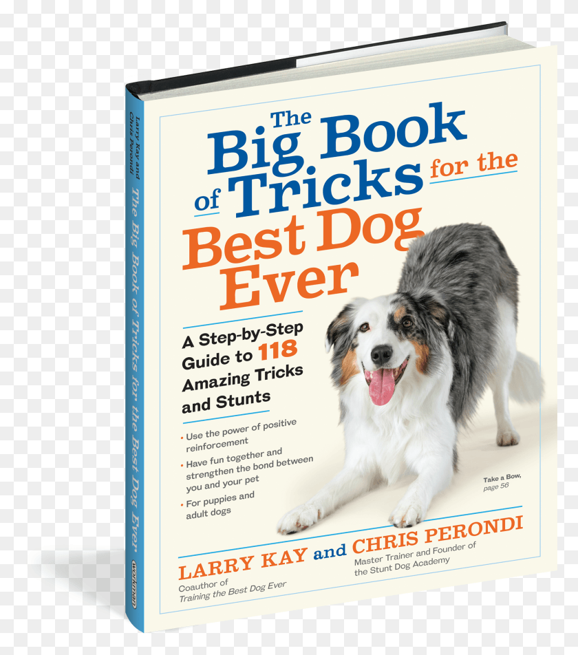 2031x2324 Big Book Of Tricks For The Best Dog Ever, Pet, Canine, Animal HD PNG Download