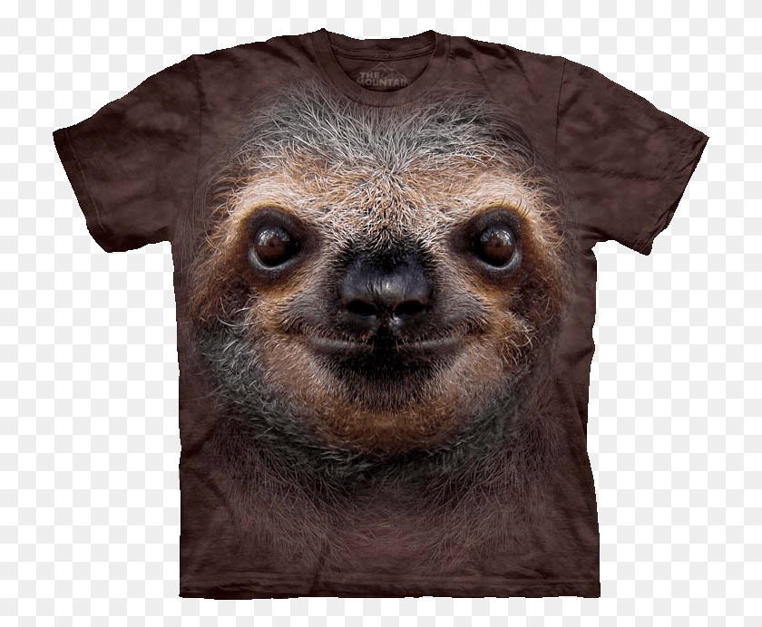 725x632 Big Face Panda Sloth Face Sloth Face Shirt, Animal, Mammal, Wildlife HD PNG Download