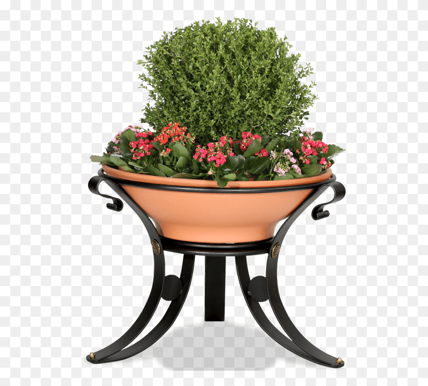 522x696 Big Flower Pot, Plant, Potted Plant, Vase HD PNG Download