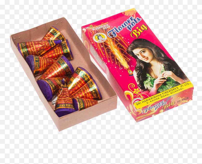 1191x954 Big Flower Pots Krishna Girl, Book, Person, Human HD PNG Download