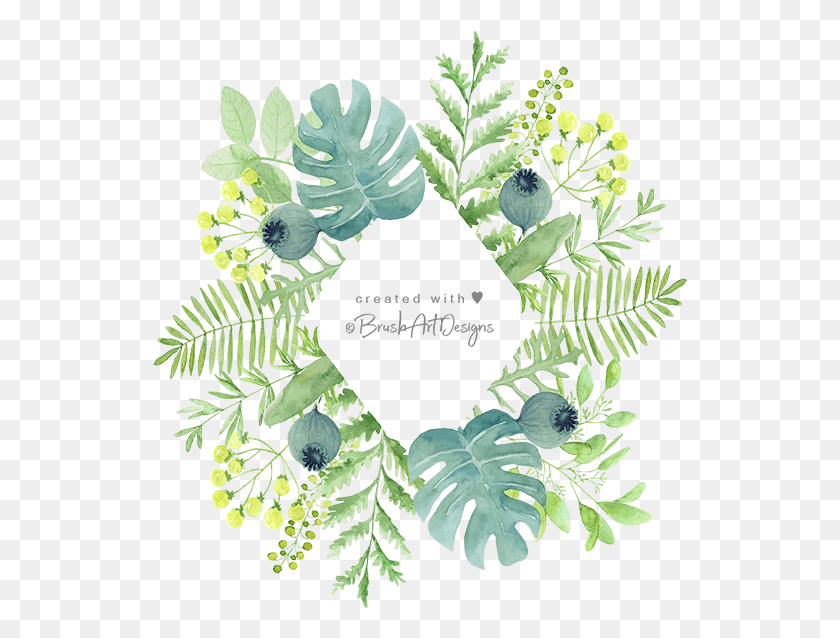 535x578 Большой Зеленый Набор В Акварельной Иллюстрации, Растение, Цветок, Цветение Hd Png Скачать
