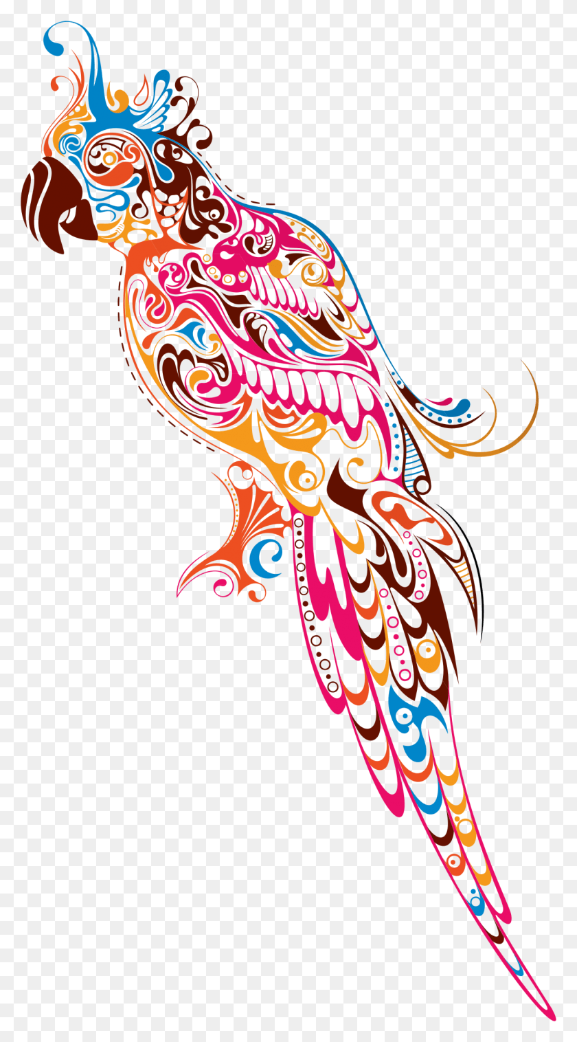 1206x2252 Большой Рисунок Абстрактный Попугай, Узор, Каракули Hd Png Скачать