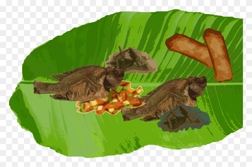 2400x1531 Big Image Banana Leaf Clipart, Animal, Reptile, Turtle HD PNG Download
