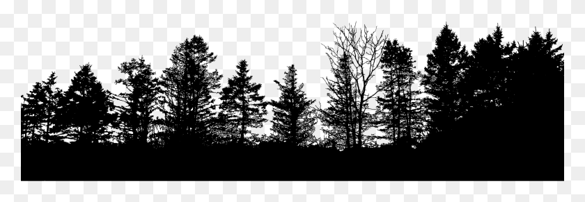 2400x711 Большое Изображение Канадской Пихты, Серый, Мир Варкрафта Png Скачать