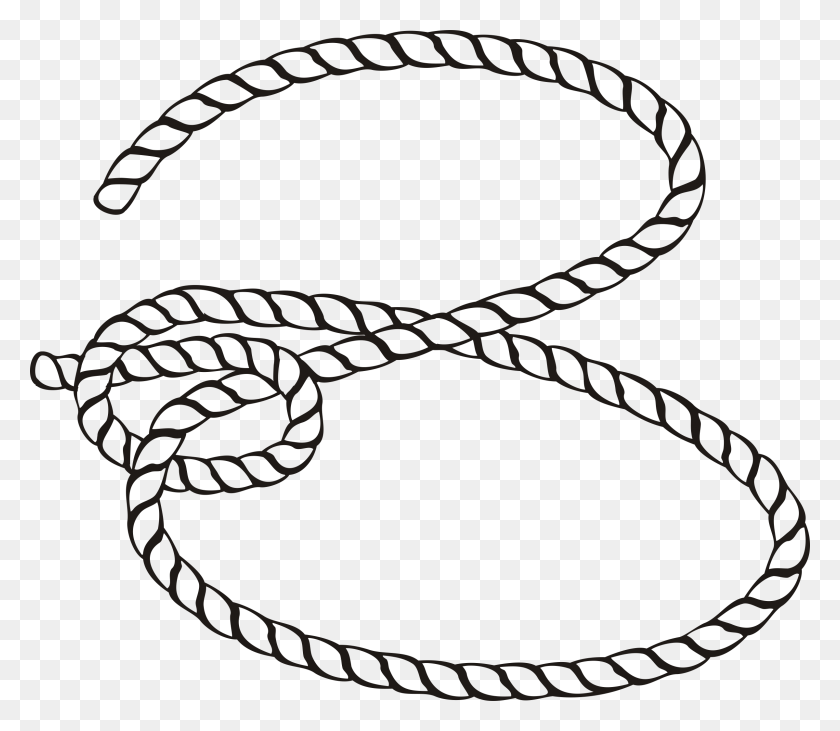 2400x2066 Big Image Clip Art Black And White Rope, Snake, Reptile, Animal HD PNG Download