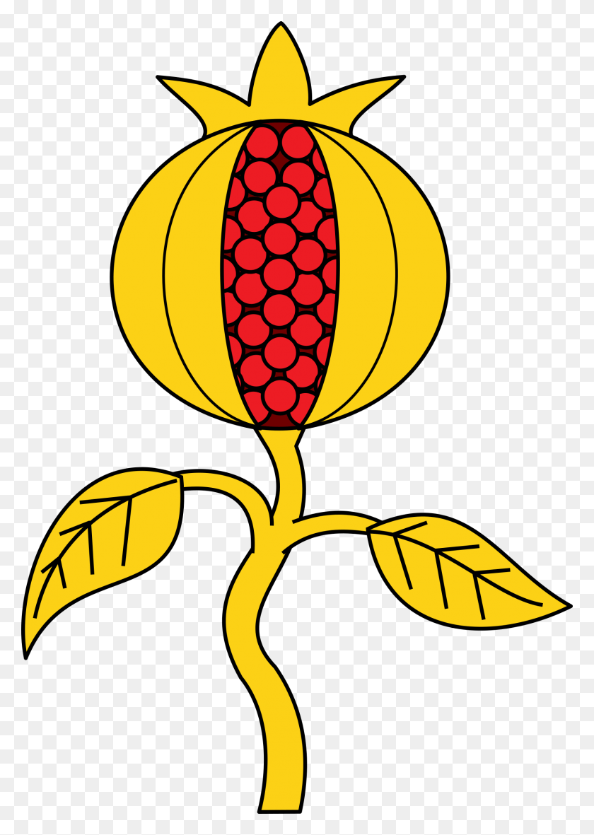 1669x2400 Большой Герб Гранат, Растение, Лепесток, Цветок Png Скачать