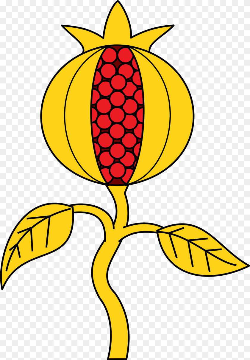 1670x2401 Big Image Coat Of Arms Pomegranate, Bud, Flower, Leaf, Plant Clipart PNG