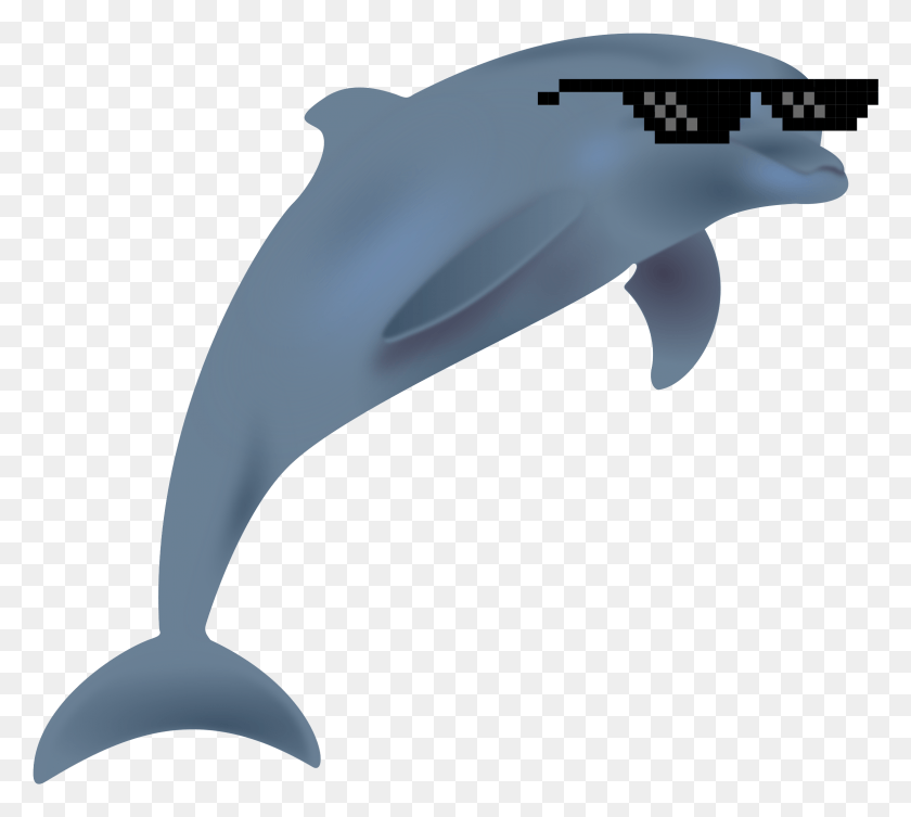 2359x2096 Большой Рисунок Дельфина, Млекопитающее, Морская Жизнь, Животное Png Скачать