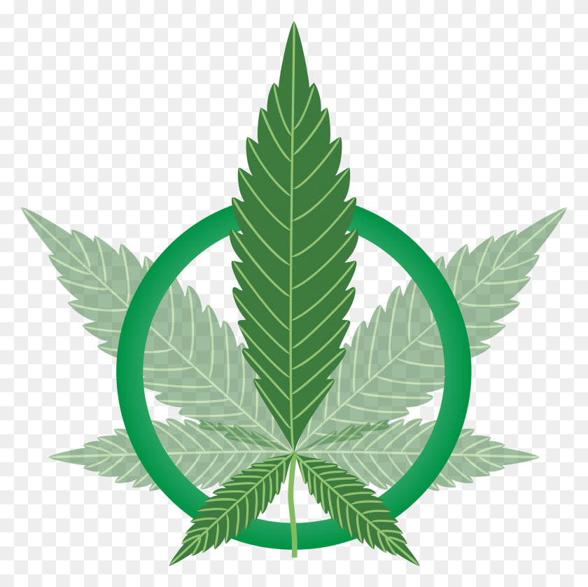 2322x2318 Big Image Drugs Clipart Marijuana, Leaf, Plant, Weed Descargar Hd Png