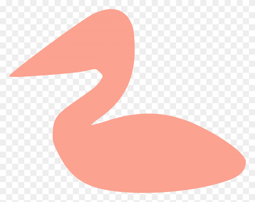 2400x1867 Big Image Duck, Animal, Flamingo, Bird HD PNG Download