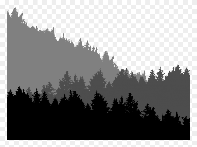 2344x1705 Big Image Forest Tree Line Silhouette, Nature, Plant HD PNG Download