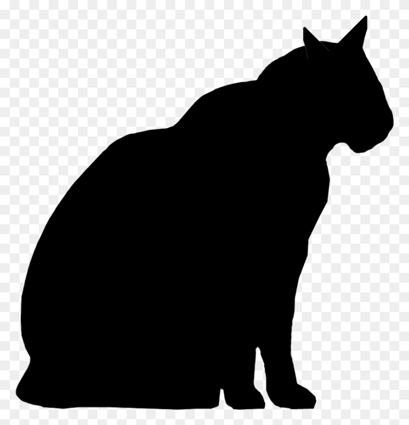 847x882 Big Image Free Techflourish Collections Silhouette Male Cat Silhouette, Outdoors, Nature HD PNG Download