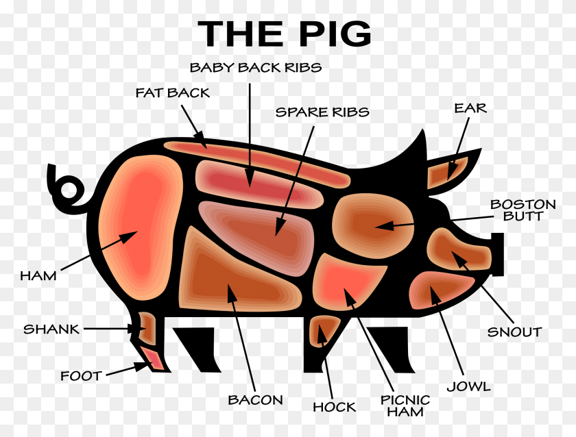 2372x1758 Big Image Infographic Pig, Hand, Text, Rock HD PNG Download