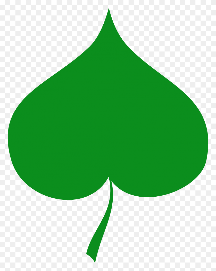 1884x2400 Png Креслен Лист, Растение, Зеленый, Воздушный Шар Png Скачать