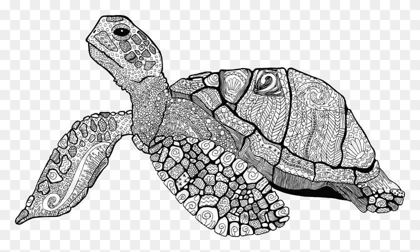 2238x1276 Big Image Line Clip Art Sea Turtle, Reptile, Animal, Sea Life HD PNG Download