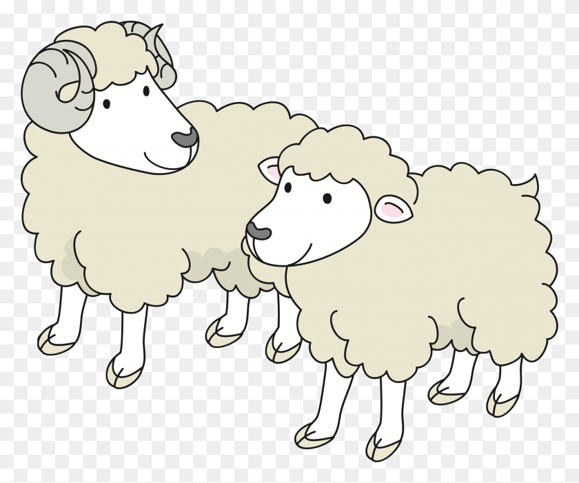 2399x1973 Овца Хембра И Мачо Дибуджо Большое Изображение, Овца, Млекопитающее, Животное Hd Png Скачать