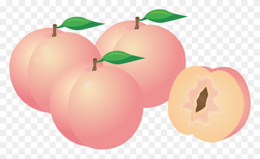 2387x1395 Big Image Peaches Clipart, Plant, Fruit, Food HD PNG Download