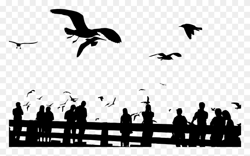 2399x1433 Big Image People Bird Silhouette, Gray, World Of Warcraft HD PNG Download