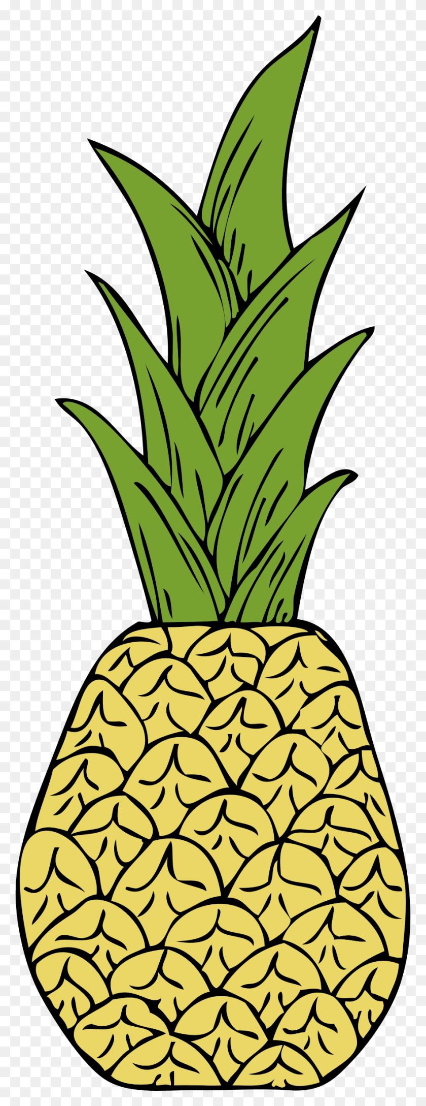 884x2400 Big Image Pineapple Clip Art, Fruit, Plant, Food HD PNG Download