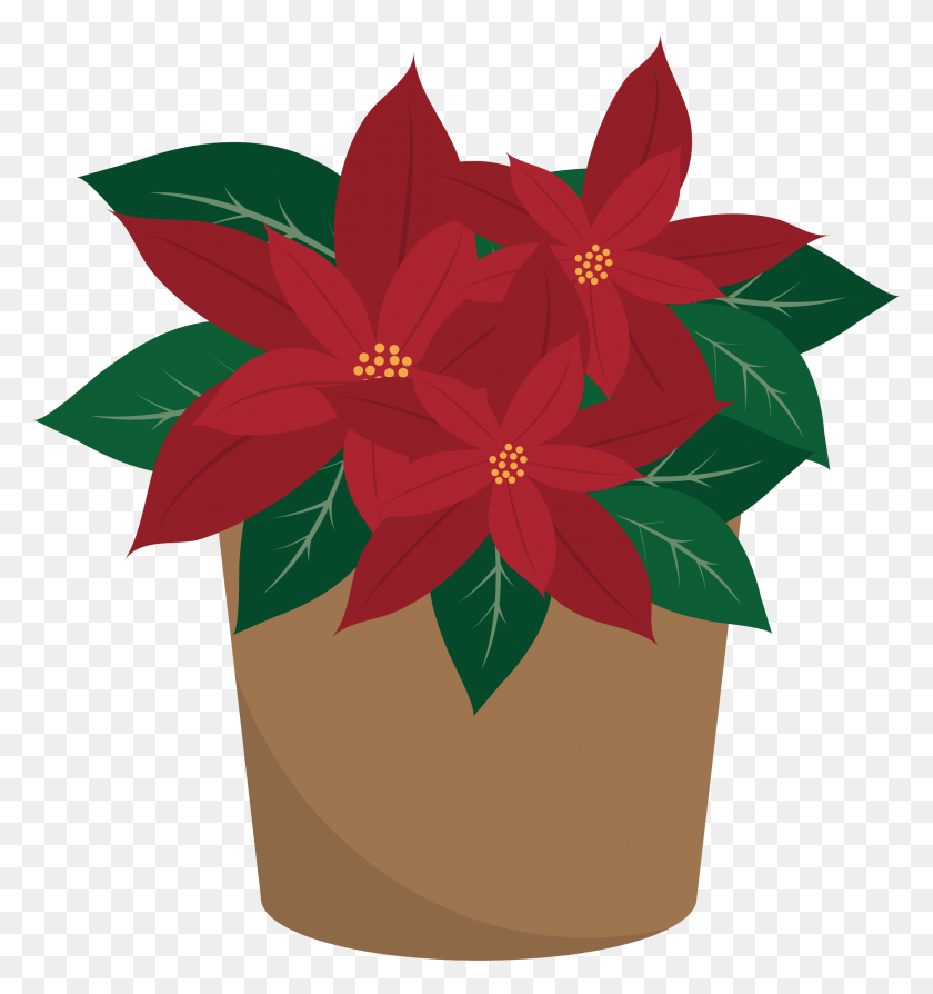 2201x2354 Большое Изображение Пуансеттия, Растение, Цветок, Цветение Hd Png Скачать