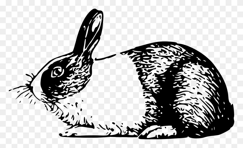 2221x1293 Big Image Rabbit Illustration Black And White, Gray, World Of Warcraft HD PNG Download