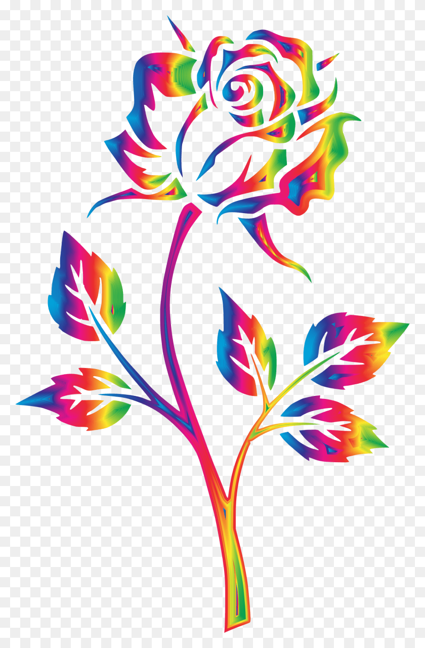 1428x2234 Big Image Rainbow Rose No Background, Graphics, Floral Design HD PNG Download
