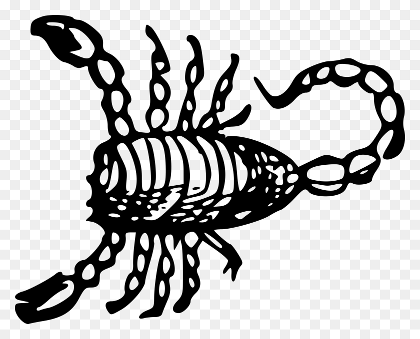 2400x1906 Большой Рисунок Скорпиона, Серый, Мир Варкрафта Png Скачать