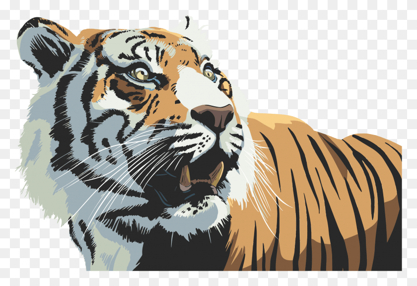 2323x1537 Big Image Tiger Illustration, Wildlife, Mammal, Animal HD PNG Download