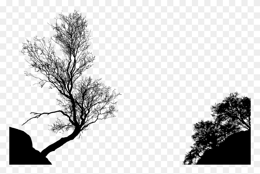 2400x1545 Big Image Trees In Silhouette, Gray, World Of Warcraft HD PNG Download