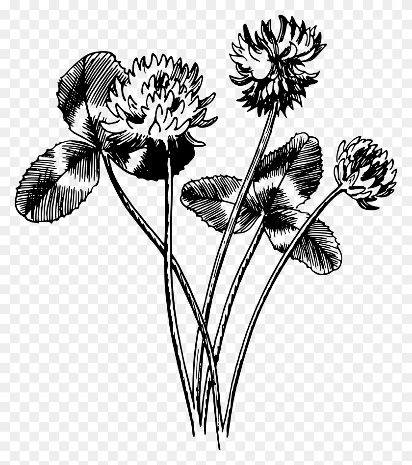 2106x2400 Big Image White Clover Art, Gray, World Of Warcraft HD PNG Download