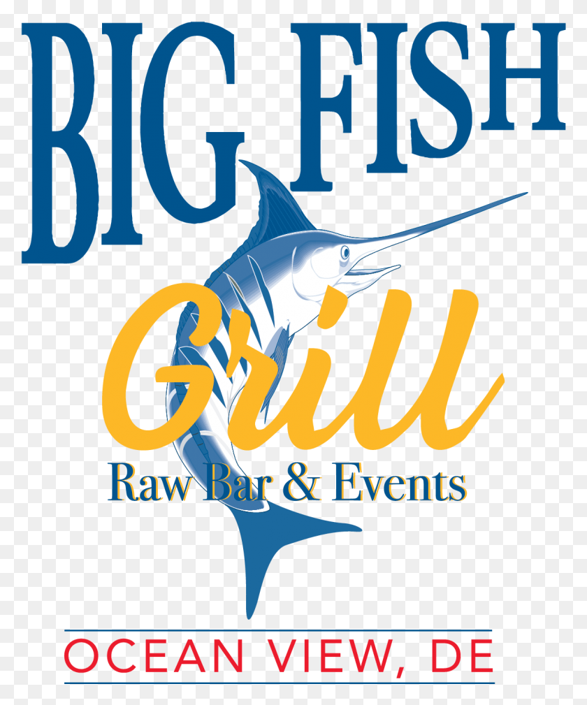 1143x1391 Big Poster, Sea Life, Animal, Fish HD PNG Download