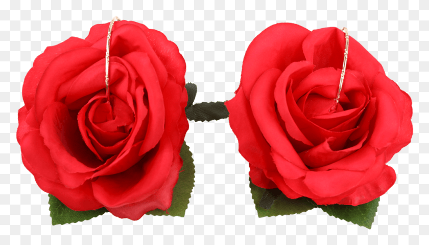 957x515 Big Red Roses Garden Roses, Rose, Flower, Plant HD PNG Download