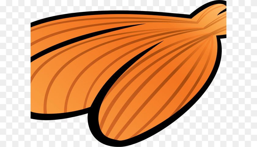 640x480 Big Shell Cliparts Clip Art, Food, Produce Transparent PNG