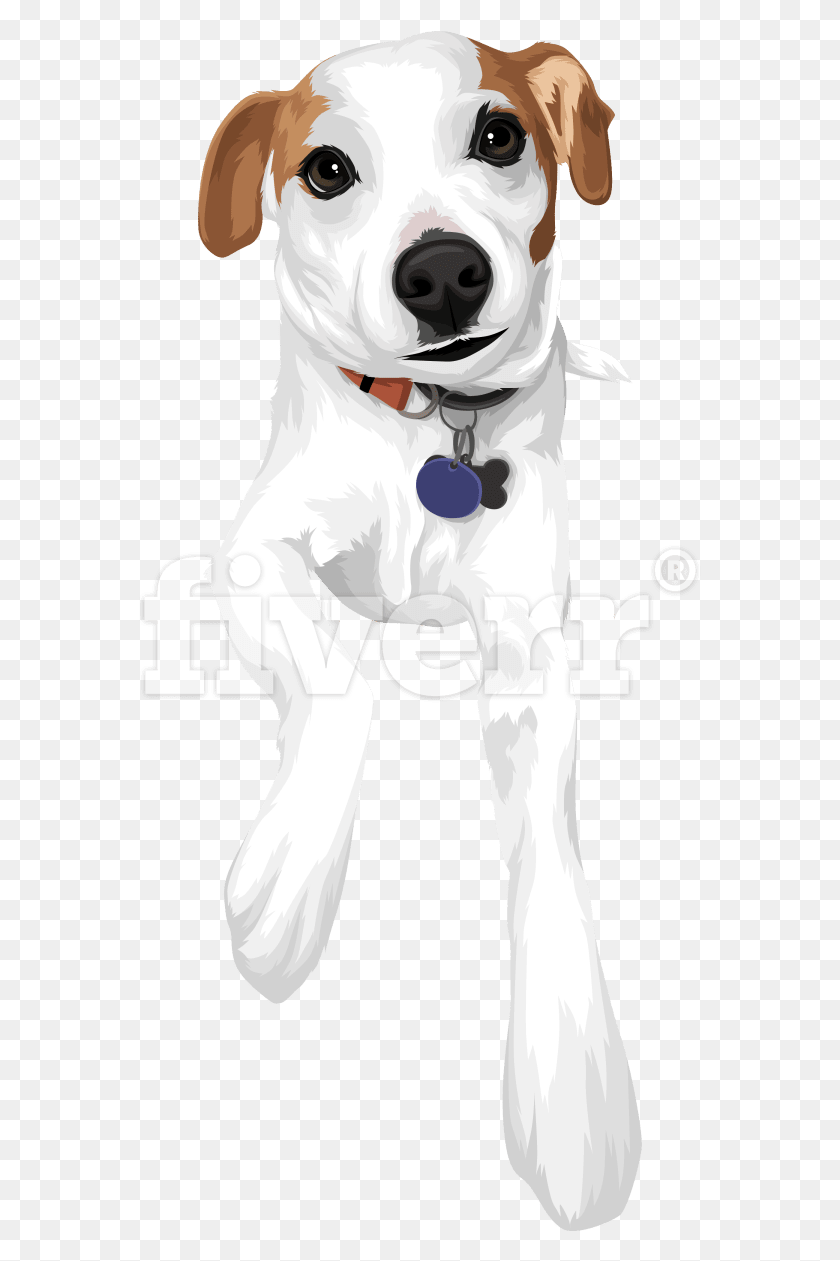 563x1201 Big Worksample Image Dog Catches Something, Person, Human, Face HD PNG Download