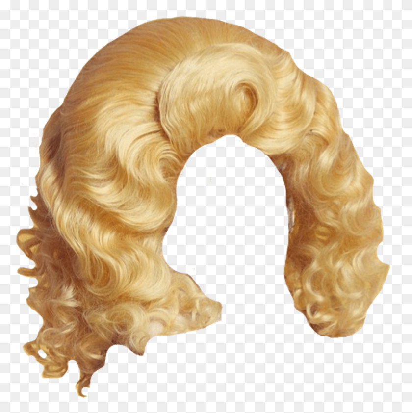 957x960 Bighair Dragqueen Trixiemattel Wigs Drag Queen Wig Transparent, Dog, Pet, Canine HD PNG Download