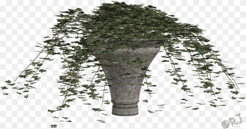 Bigtree, Ivy, Plant, Tree, Jar PNG
